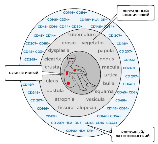Phenotypic dermatology