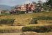 Катманду - рисовое поле