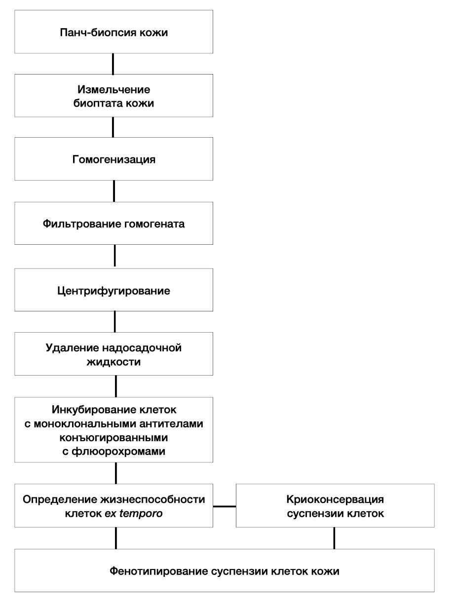 Кто открыл пенициллин: история изобретения | РБК Тренды